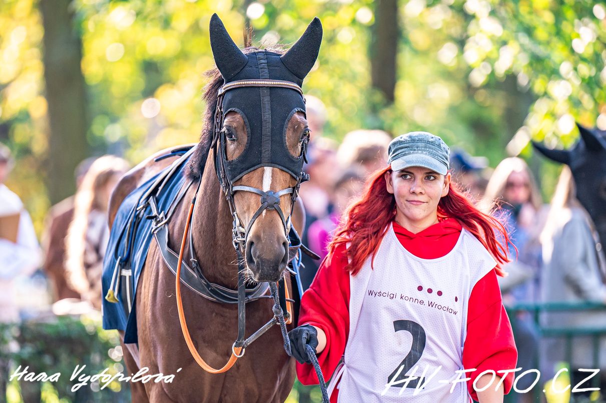 DSC_2248 kopie.jpg